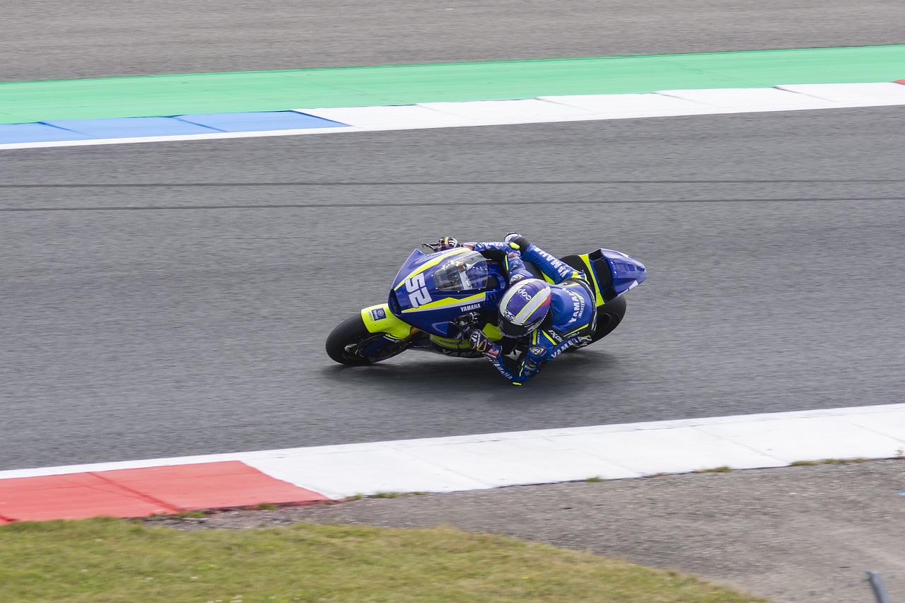 球爱好者都 球爱好者都