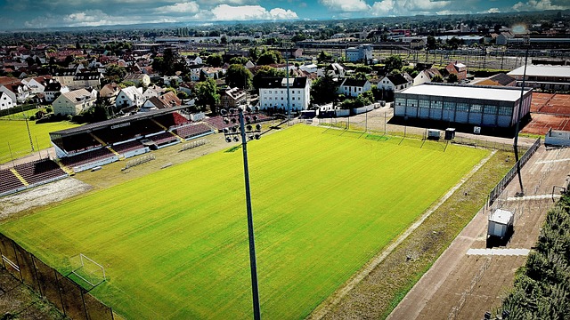 欧冠之后 欧冠之后