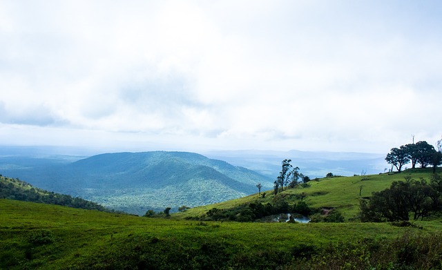 面对公众意 面对公众意