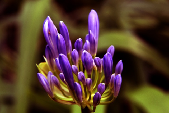 20／21賽季歐冠1／8決賽次回合巴黎聖日耳曼1-1巴塞羅那 梅西世界波姆巴佩點球破門.