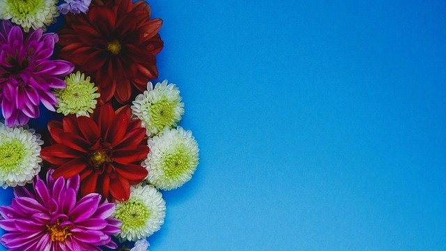 他的进球能 他的进球能