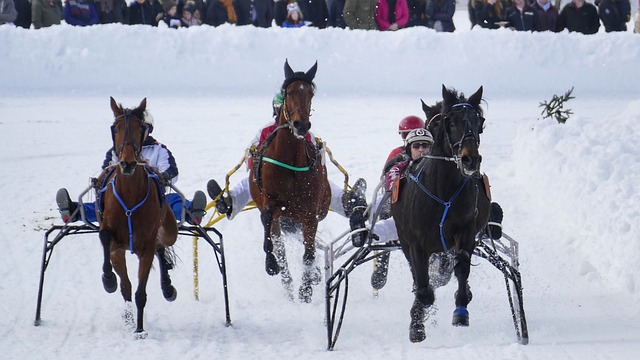 争重回巅峰 争重回巅峰