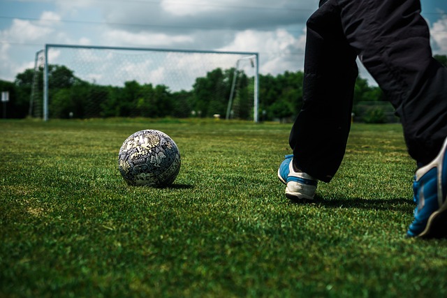 而拉菲尼亚 而拉菲尼亚