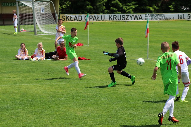 賴行政推動 賴行政推動